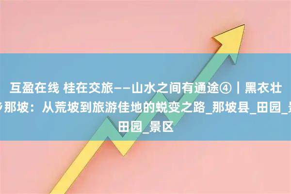 互盈在线 桂在交旅——山水之间有通途④|黑衣壮故乡那坡:从荒坡到旅游佳地的蜕变之路_那坡县_田园_景区
