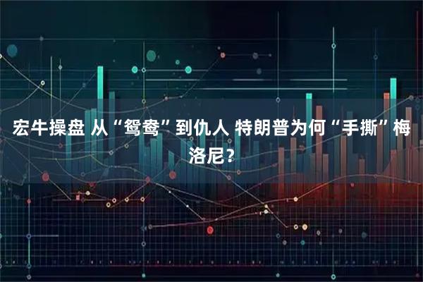 宏牛操盘 从“鸳鸯”到仇人 特朗普为何“手撕”梅洛尼？