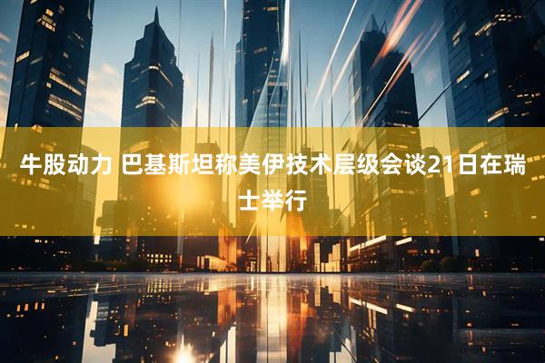 牛股动力 巴基斯坦称美伊技术层级会谈21日在瑞士举行