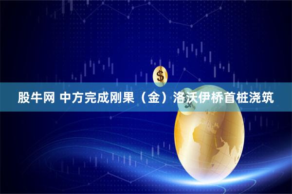 股牛网 中方完成刚果（金）洛沃伊桥首桩浇筑