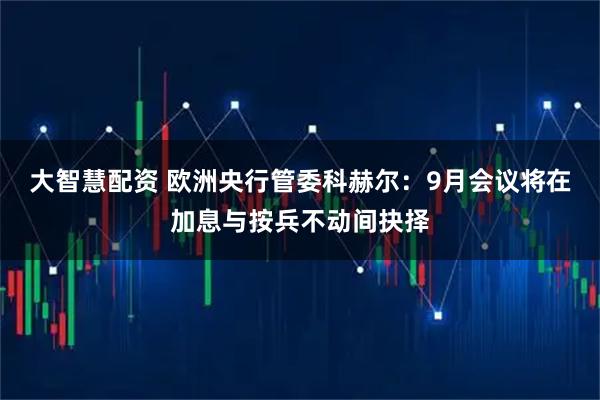 大智慧配资 欧洲央行管委科赫尔：9月会议将在加息与按兵不动间抉择